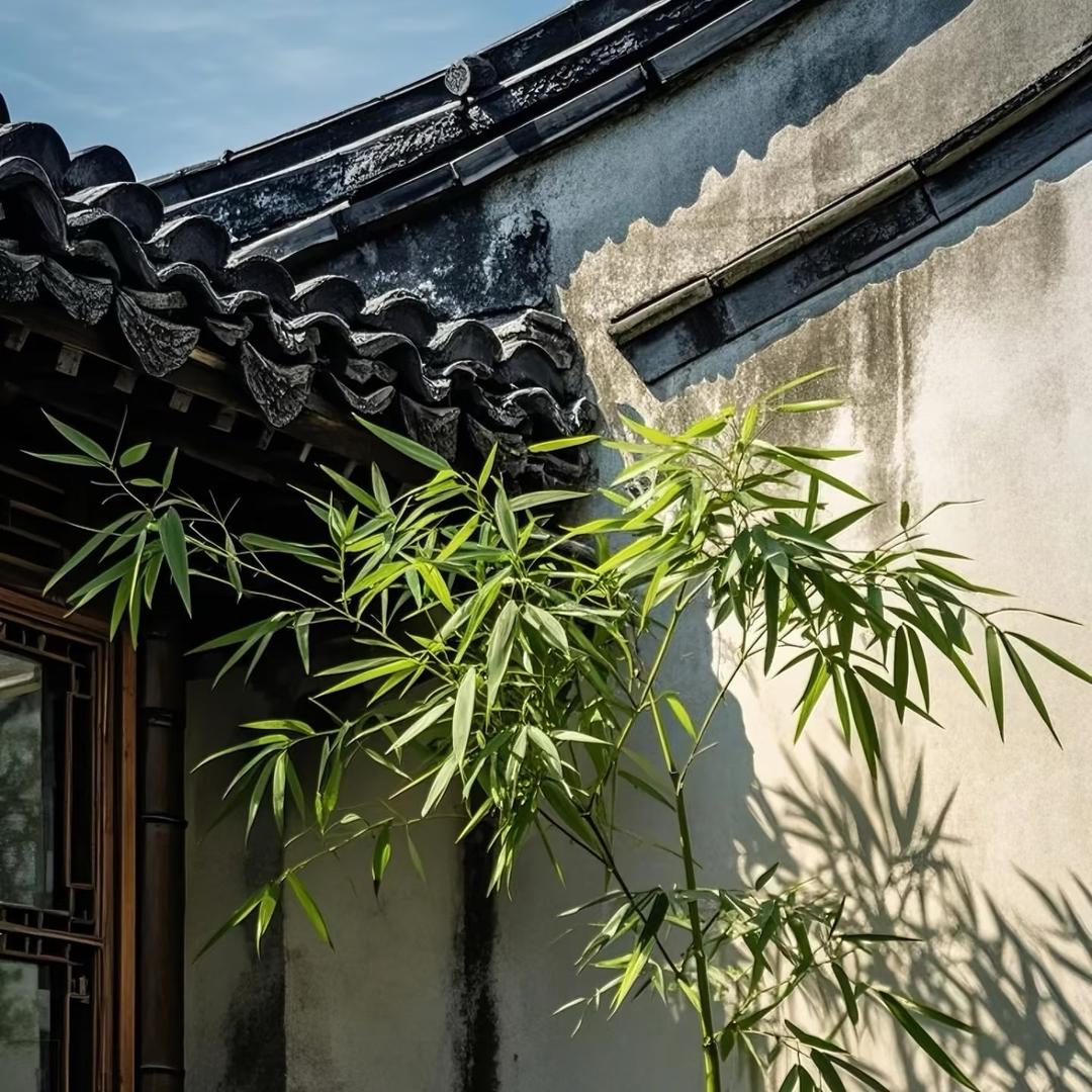 森淼旧藏老货
