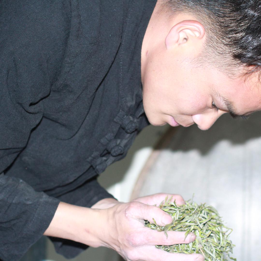 大洋山鼎亮白茶