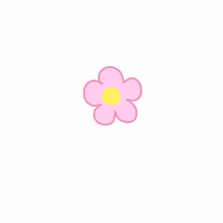 宋小宋