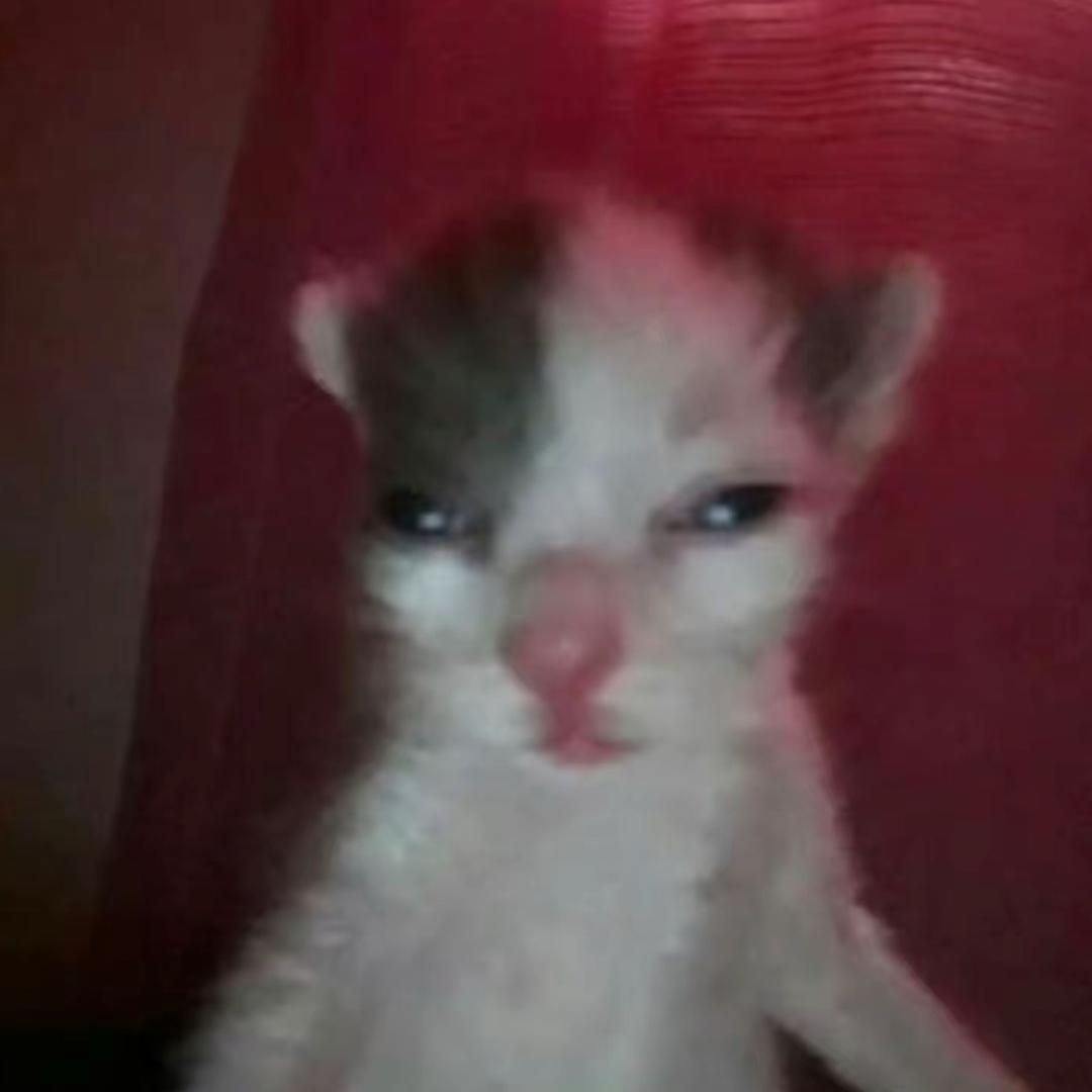 遇上你之前的我