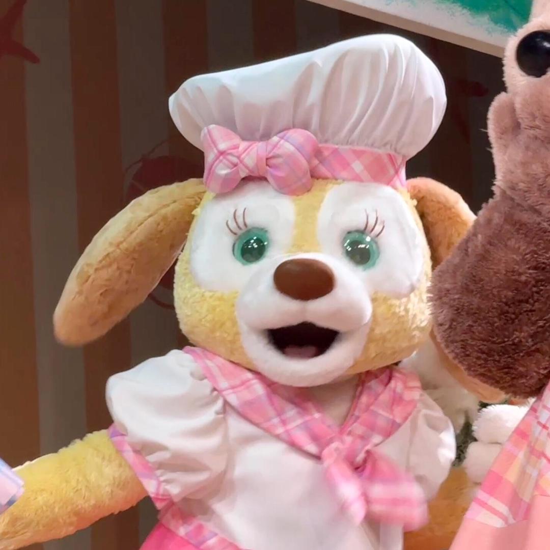 饼饼酱（追星版