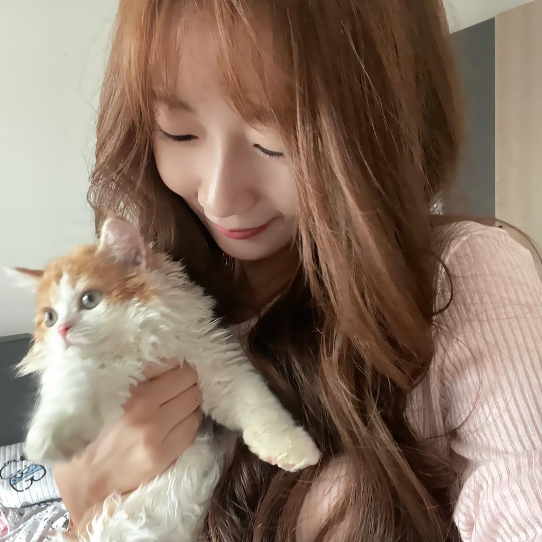 小青韩系小众发饰