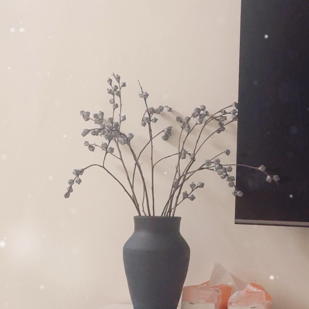 南方小土豆🥔