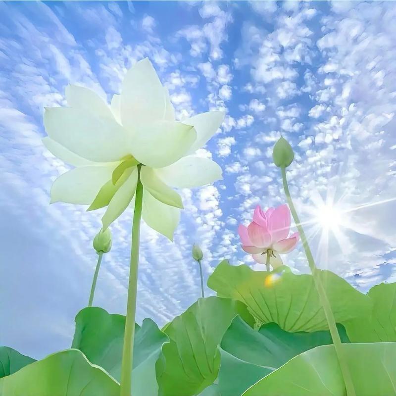 小张同学