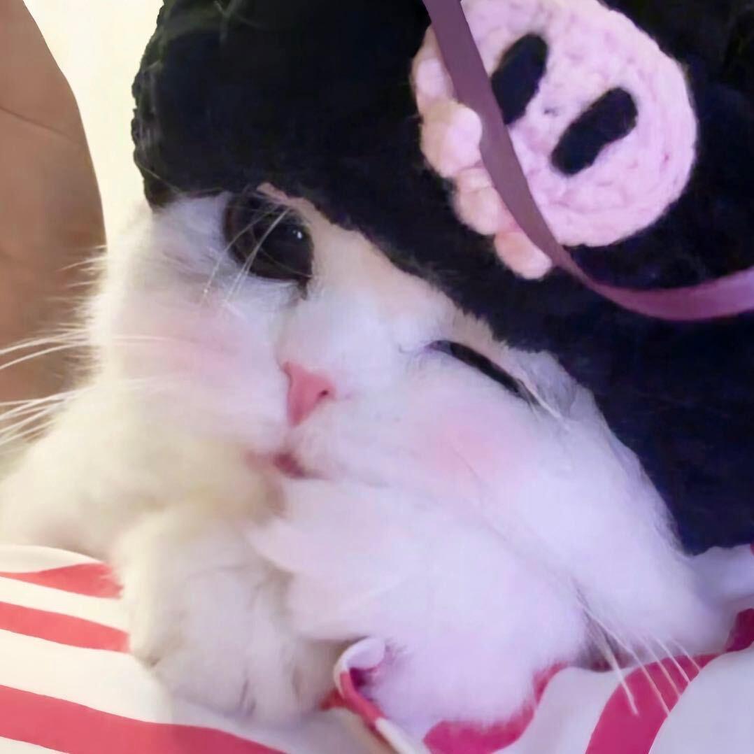 wsoonbebestyy（发财版）