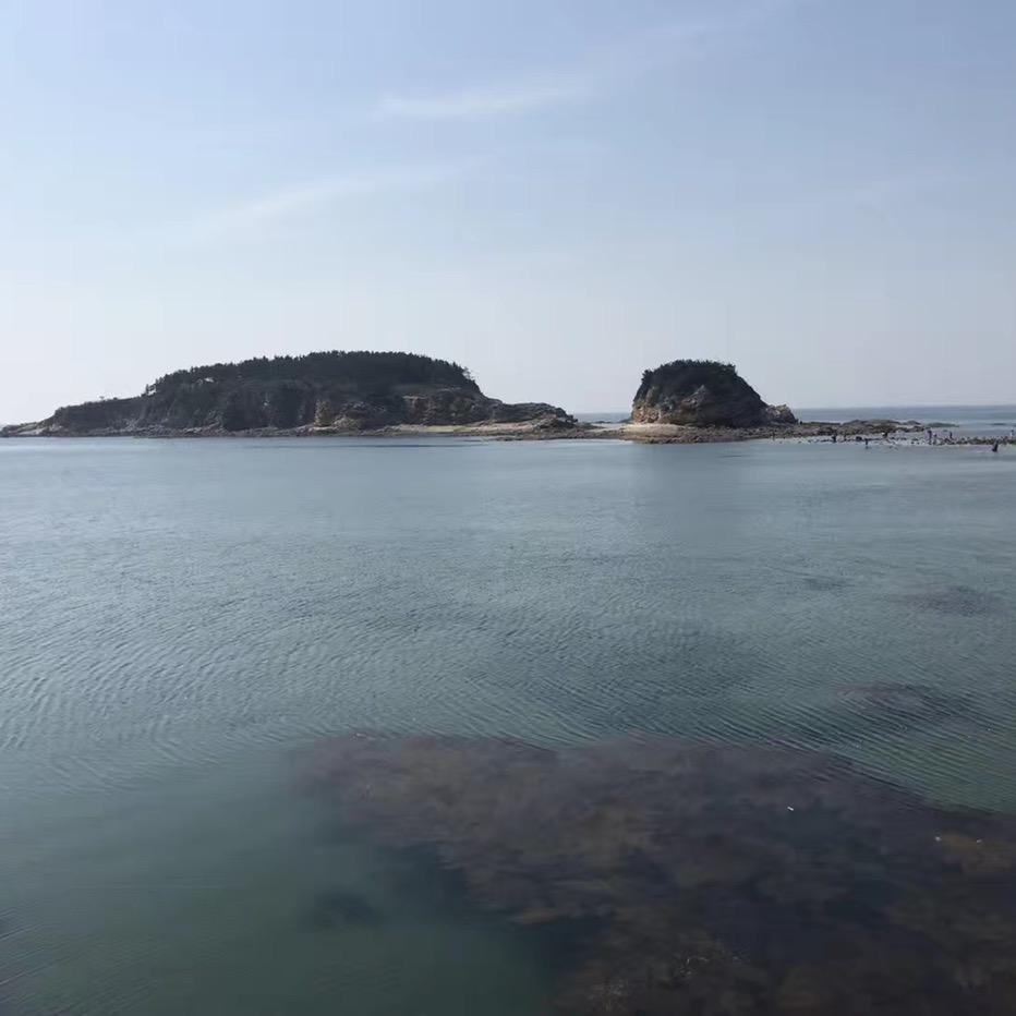 狗某人户外赶海
