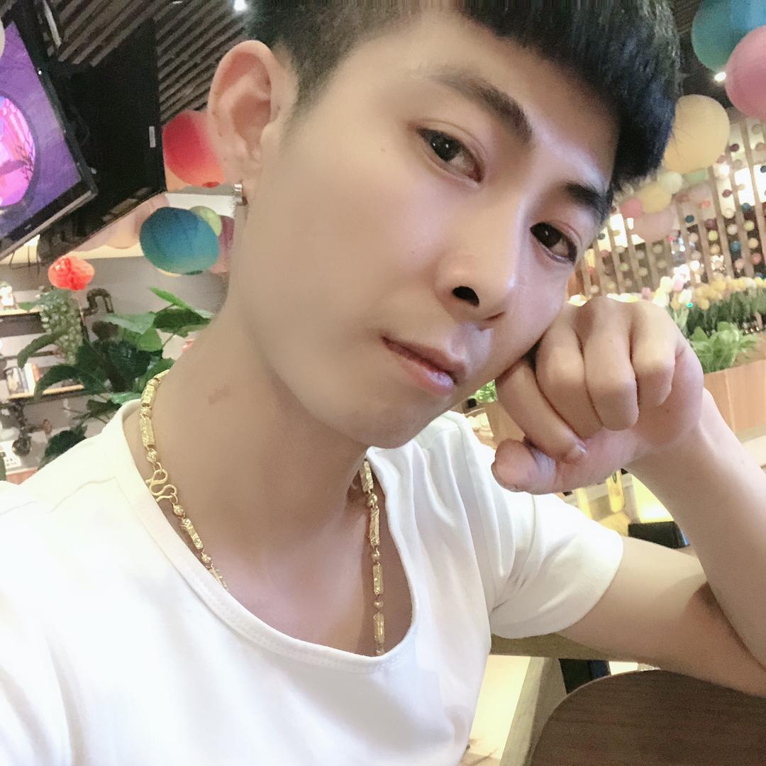 中华田园犬果果