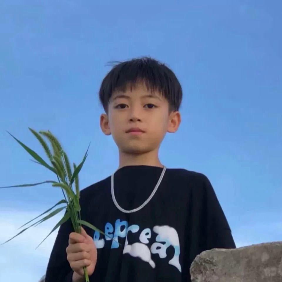 不吃香菜🌱