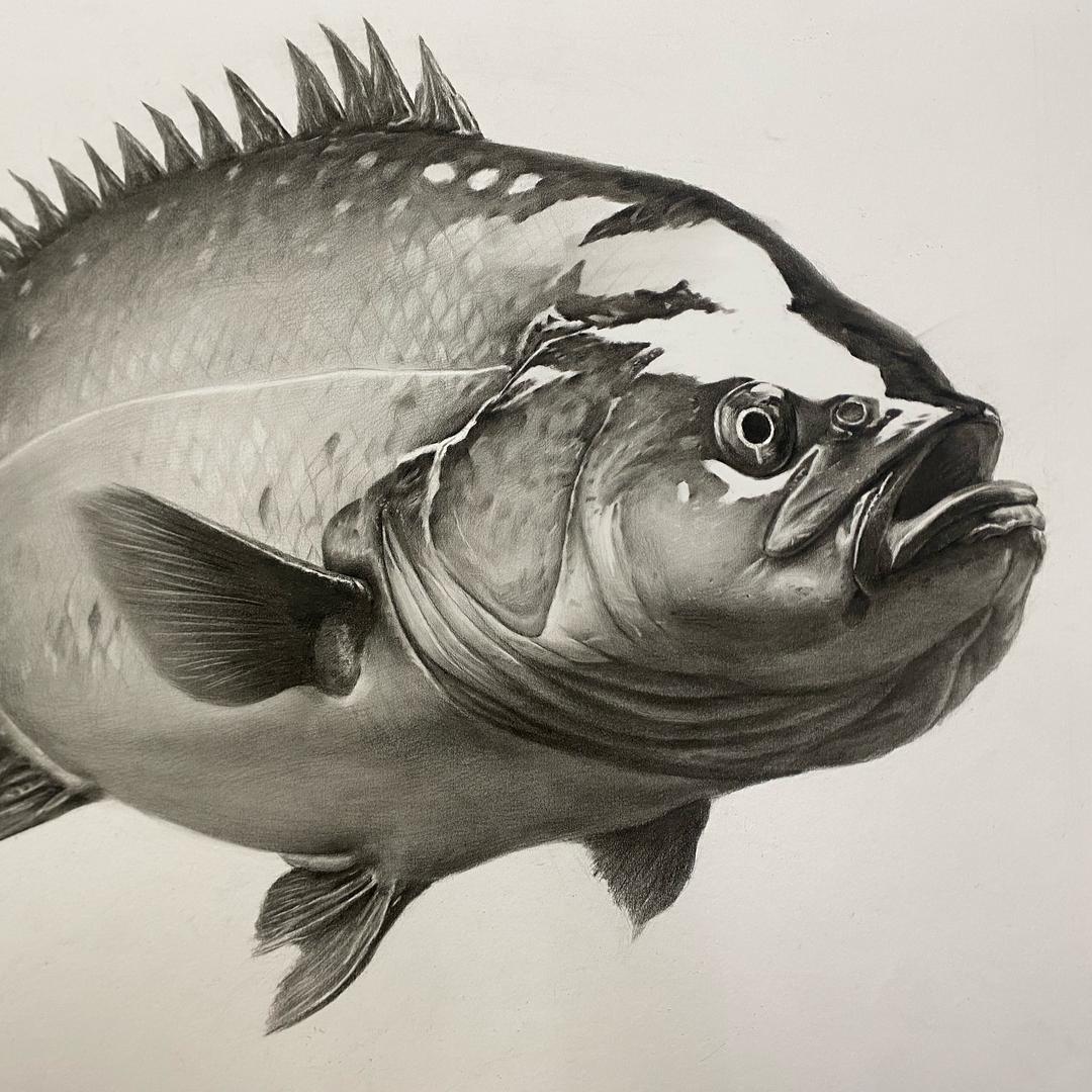 素描基础