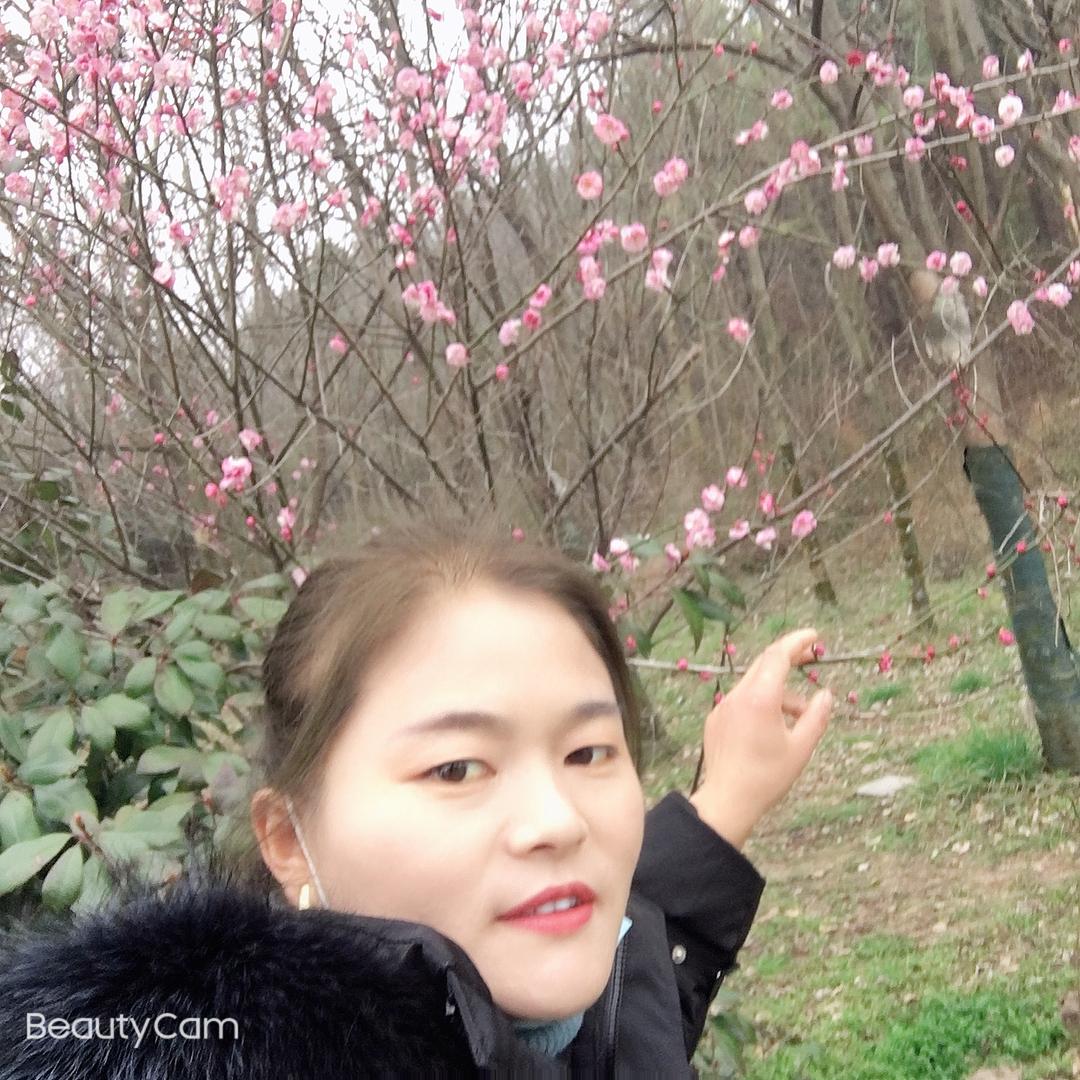 李旭妈妈9285