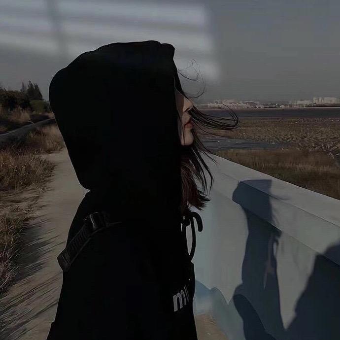 _大宝儿