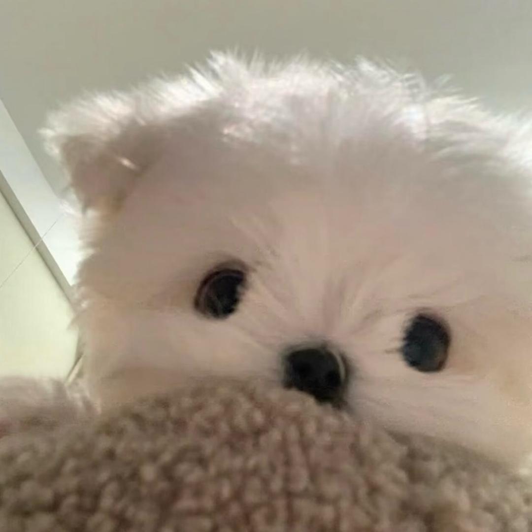 整点吧