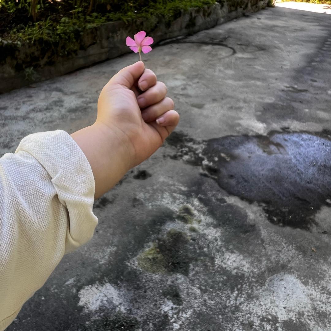 前路相逢