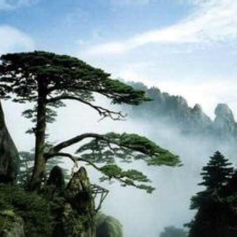 流水无情草自春