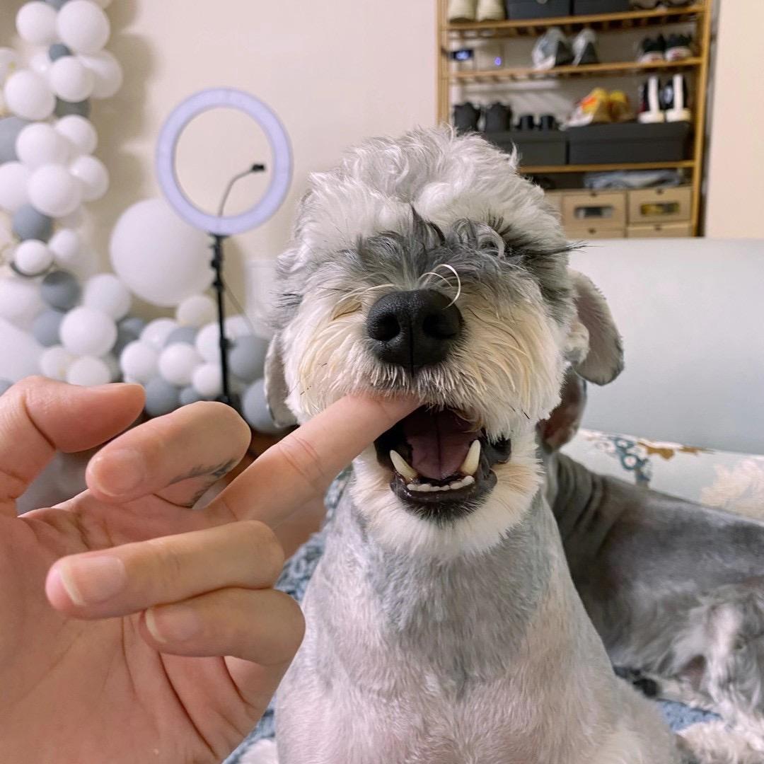 ꪖꪀᧁꫀꪶ⁵²⁰