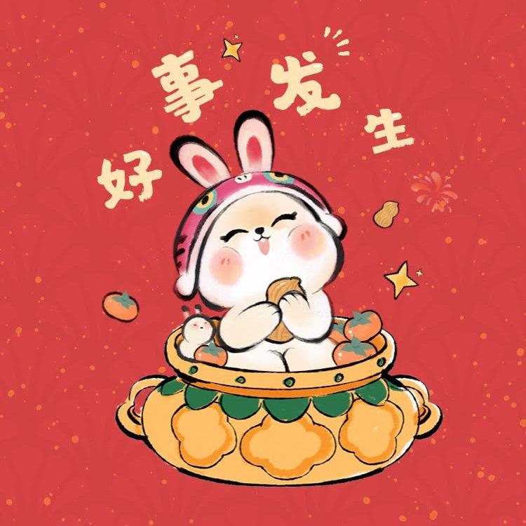 诺柏伊小白