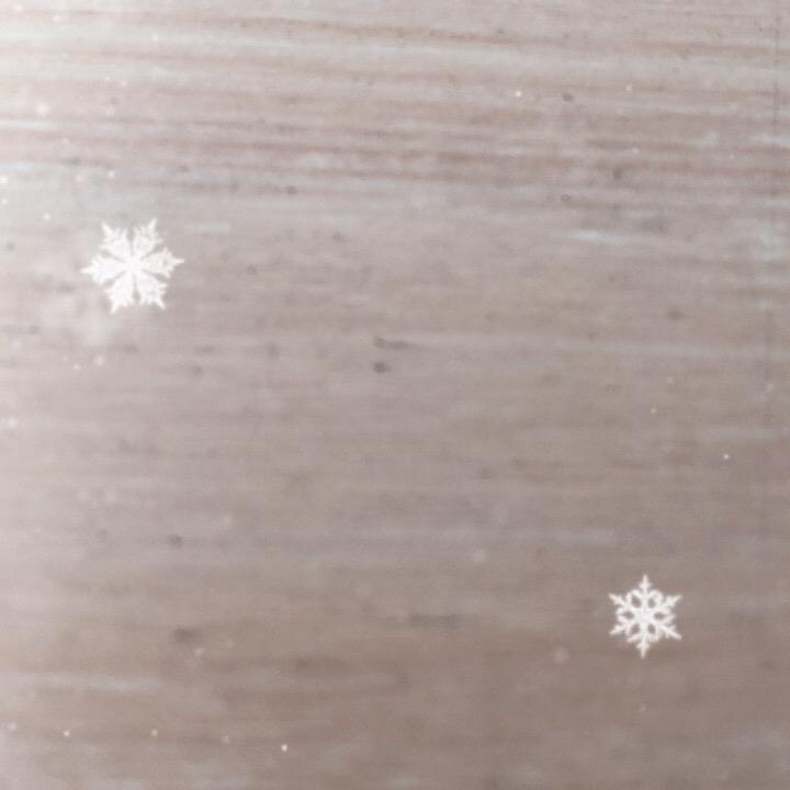 爱唱歌的大叔