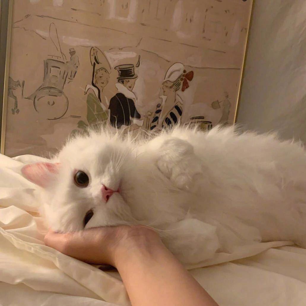 小星星阿.