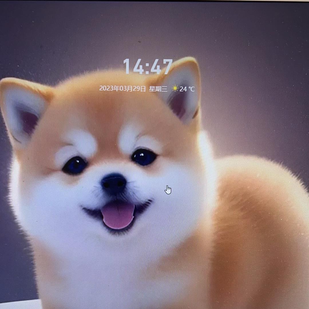 👼圈圈