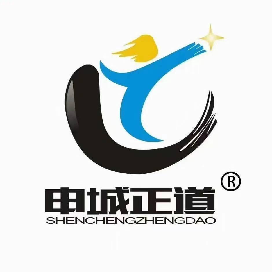 申城正道跆拳道、任教练