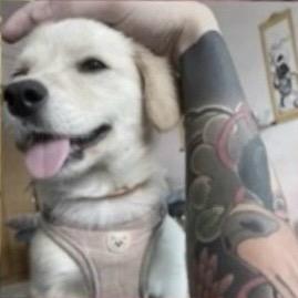 ㅤ ㅤㅤ ㅤㅤㅤ