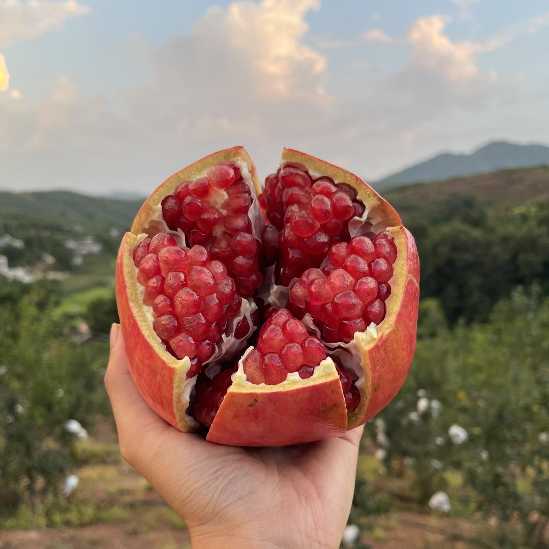 宾集水果旗舰店