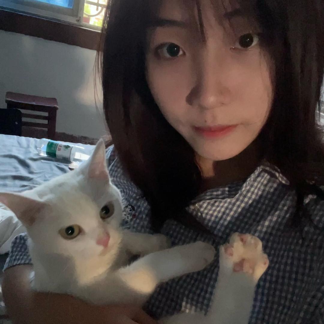 冷静豚豚