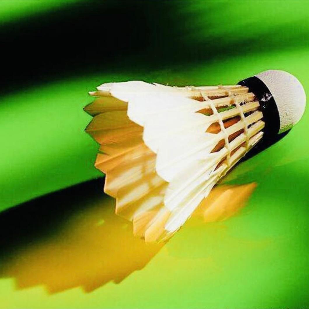 羽球部落🏸️