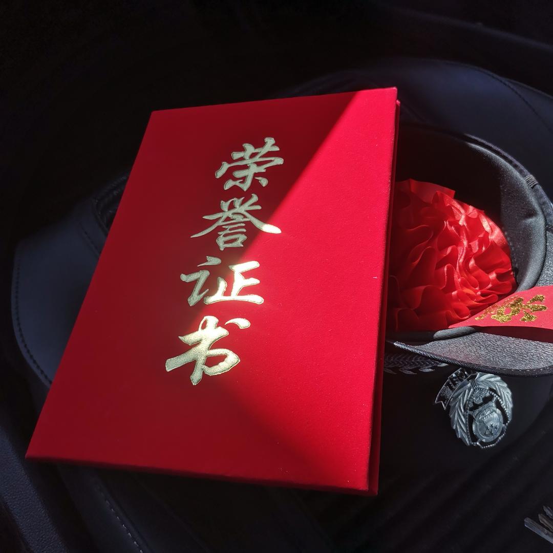 桃果实