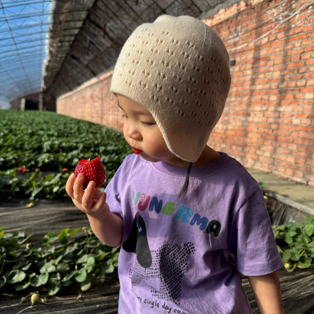 胖柚公主🥕