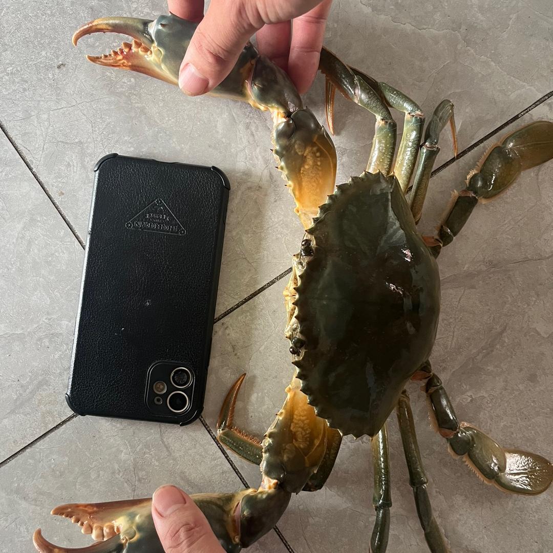 鱼多多 江鲜水产