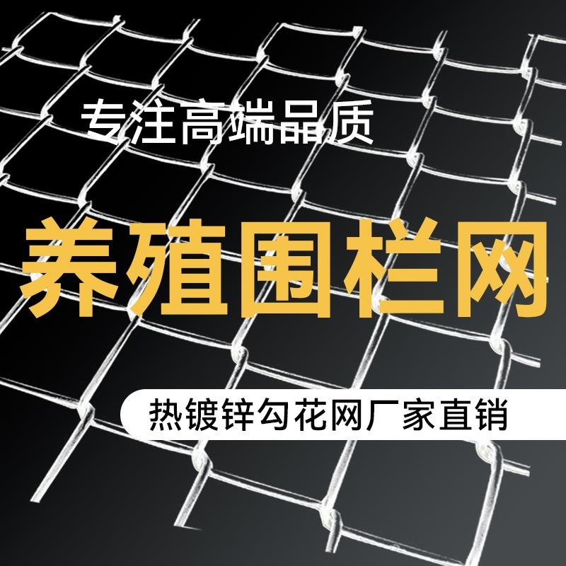 养殖围栏网源头厂家