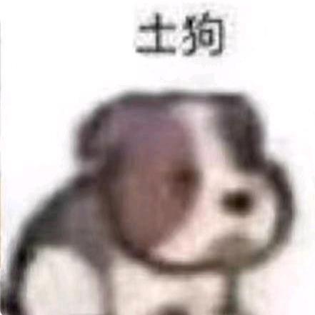林奶奶的孙子