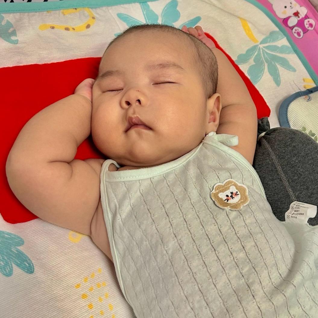 一只小眠洋☘️