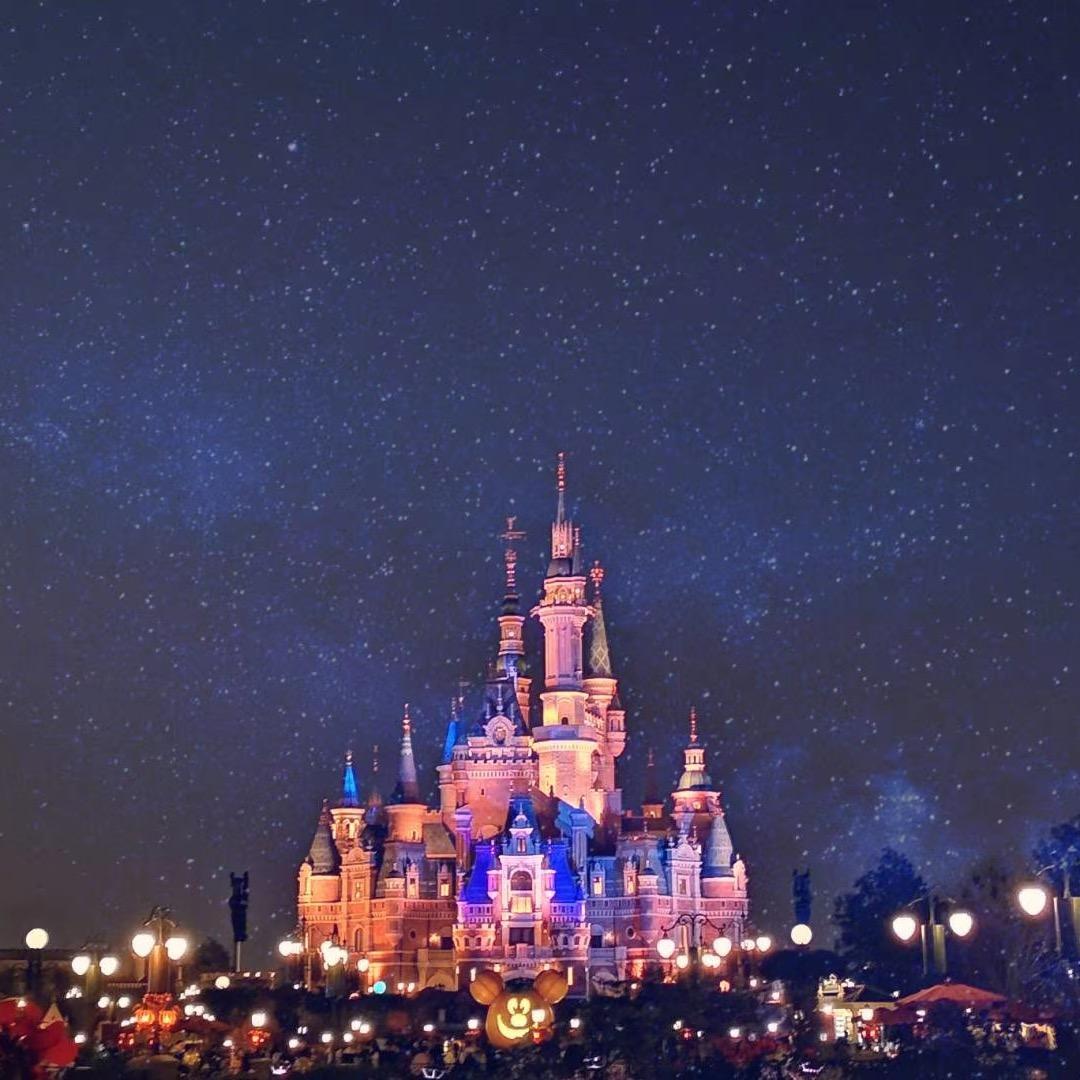 迪士尼管家带玩