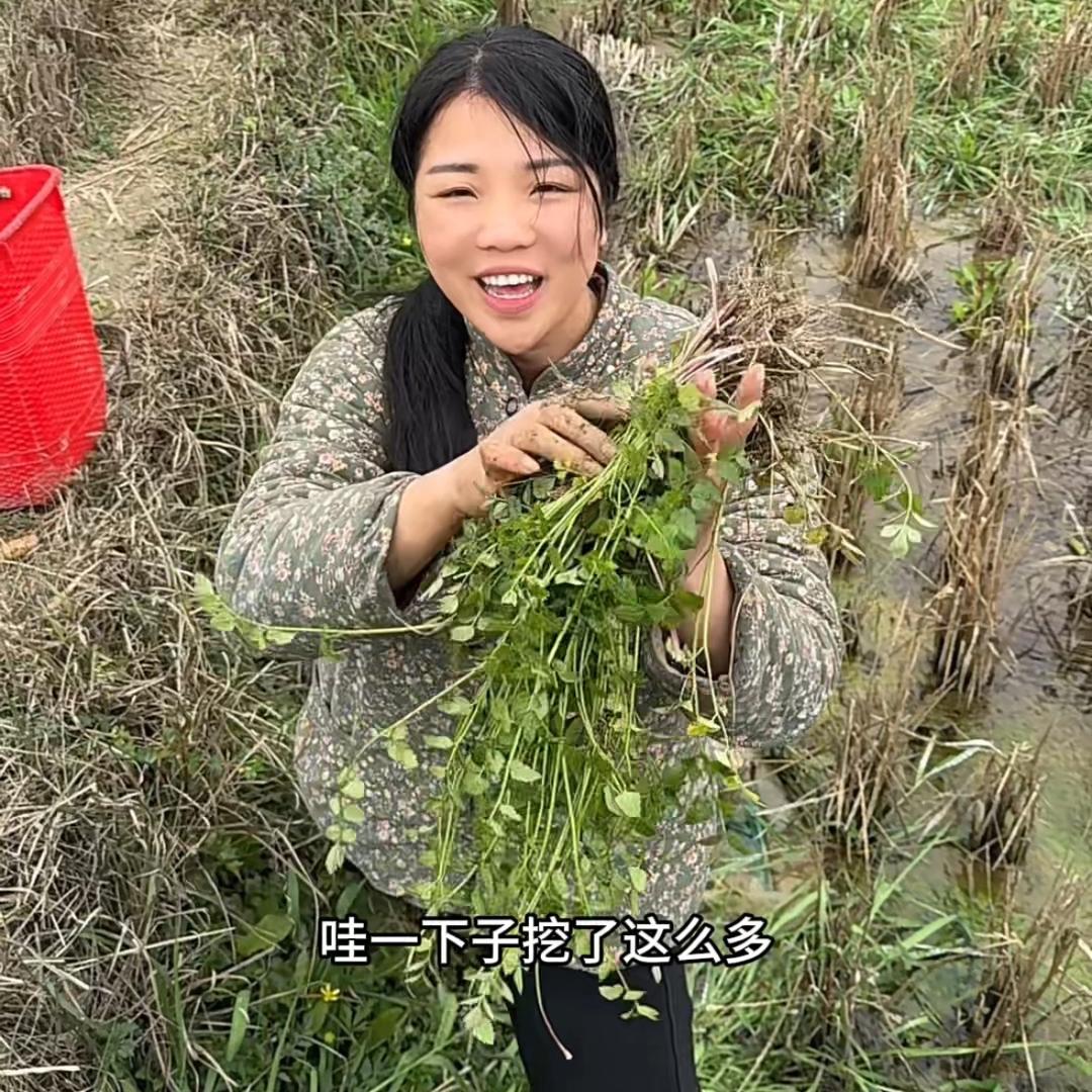 广东远嫁贵州的燕子