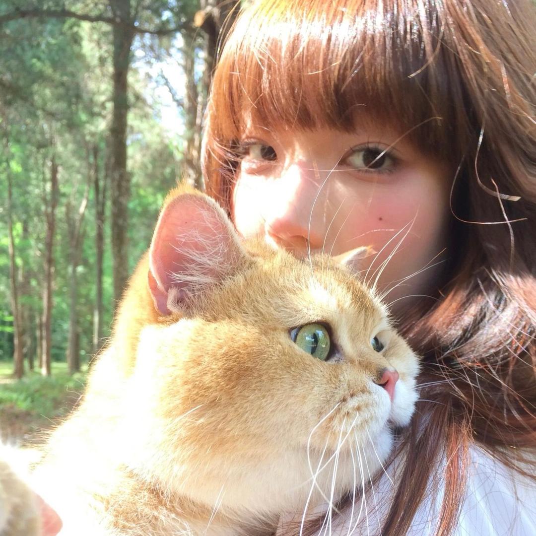 睡着了.