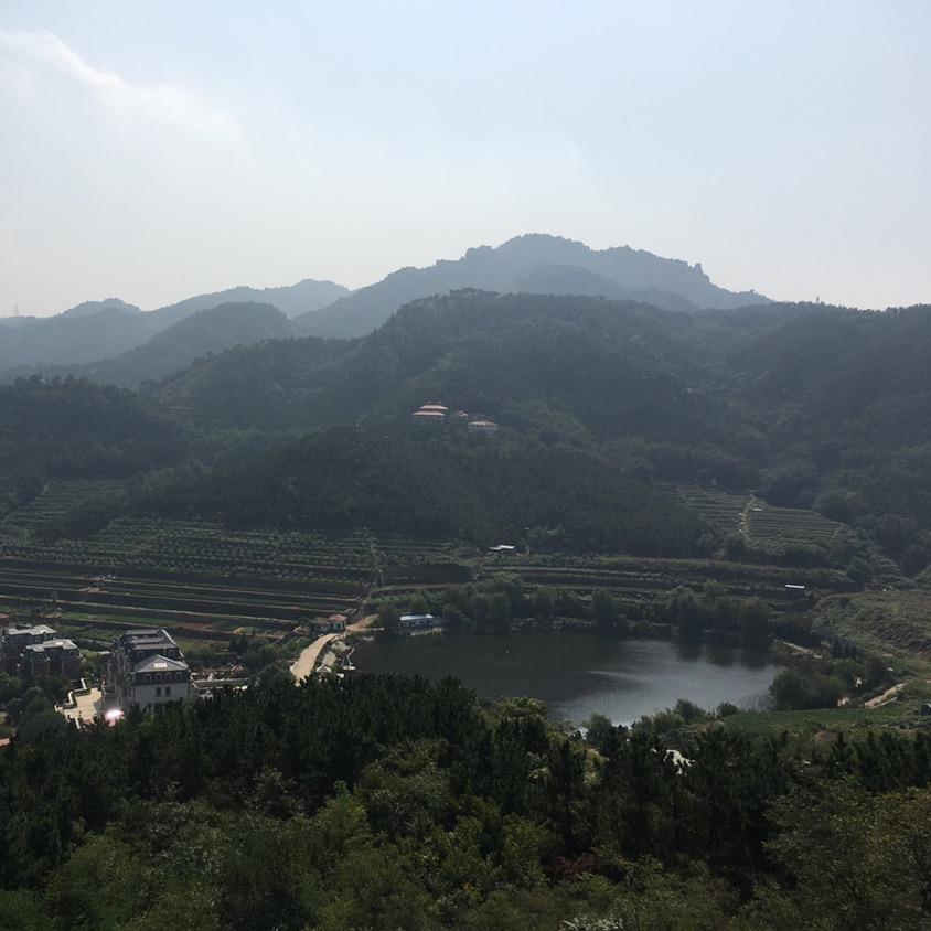 儒源教育（学科提升志愿填报）