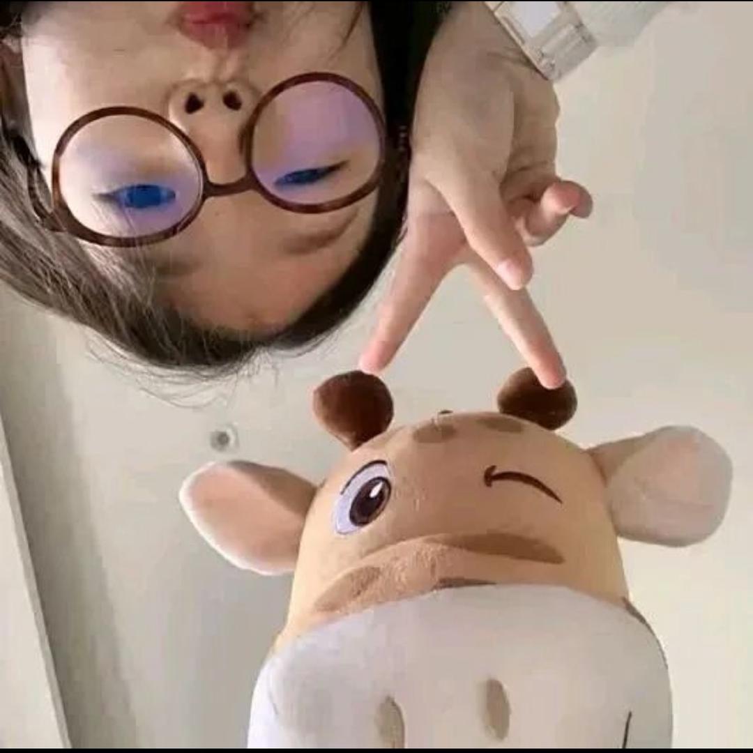 小🌲宝宝👶