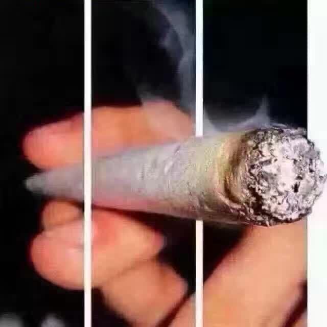 指挥官国际石油化工