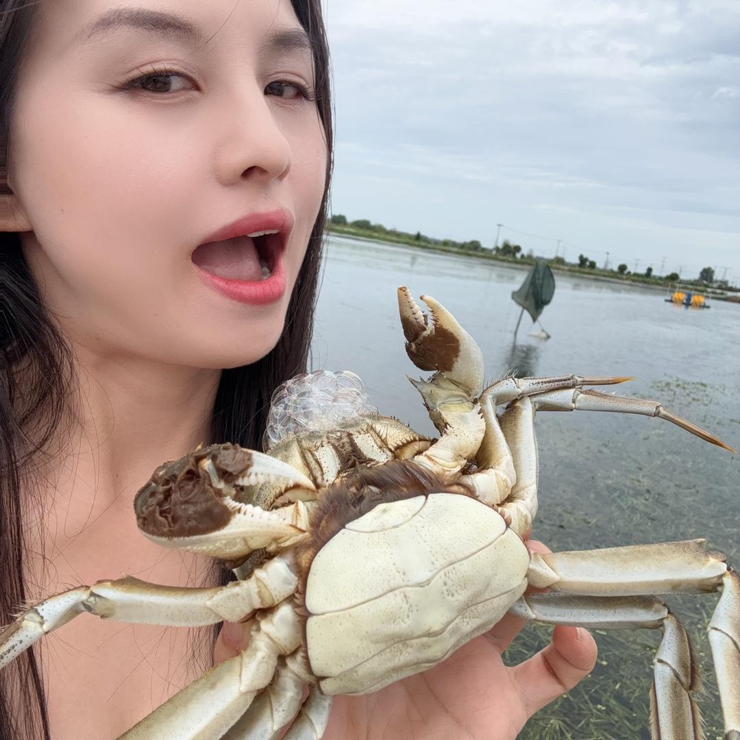 阿哈