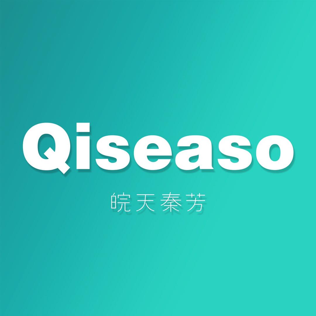 皖天秦芳安徽省秦芳洗涤用品有限公司洗护清洁专卖店