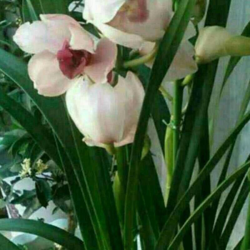 💕顺💕其💕自💕然💕