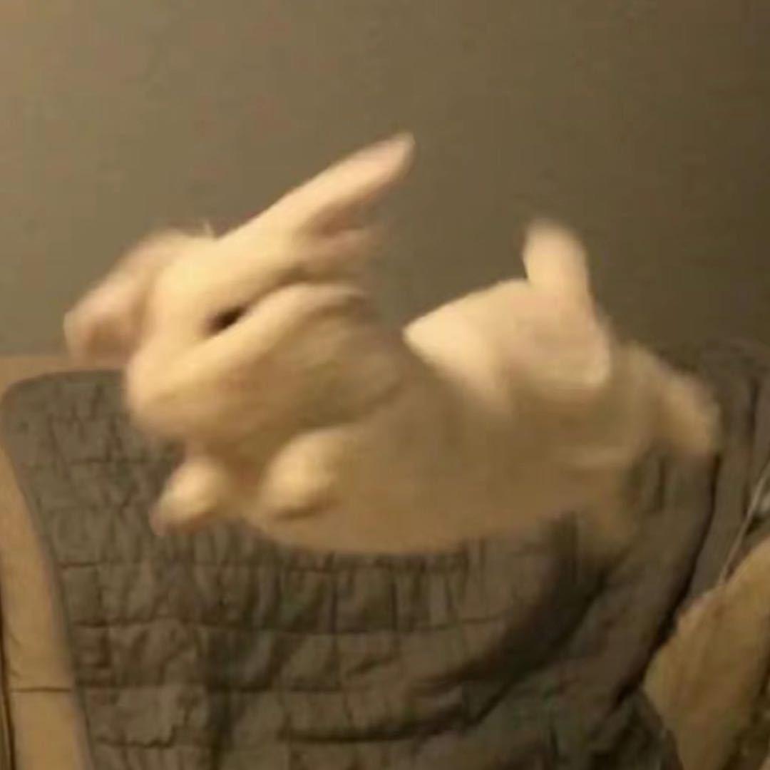 明天见..
