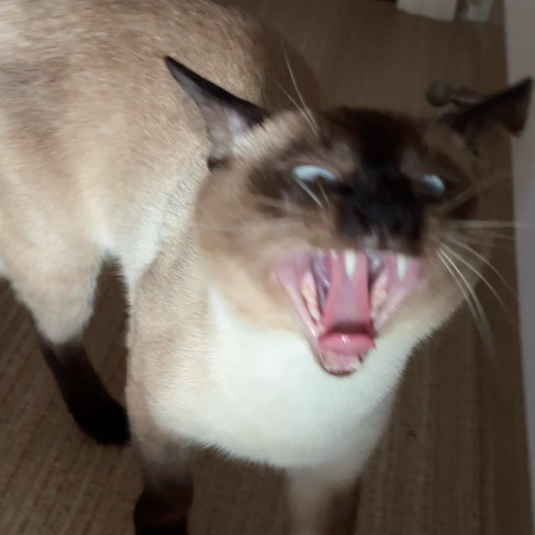 网恋漏🐮被骗三万