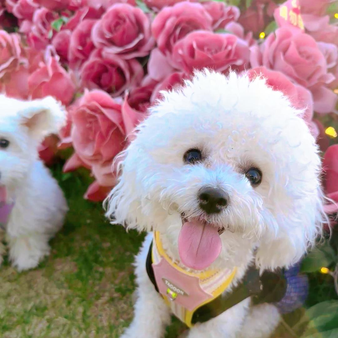 糖糖爱吃砂糖橘🍬