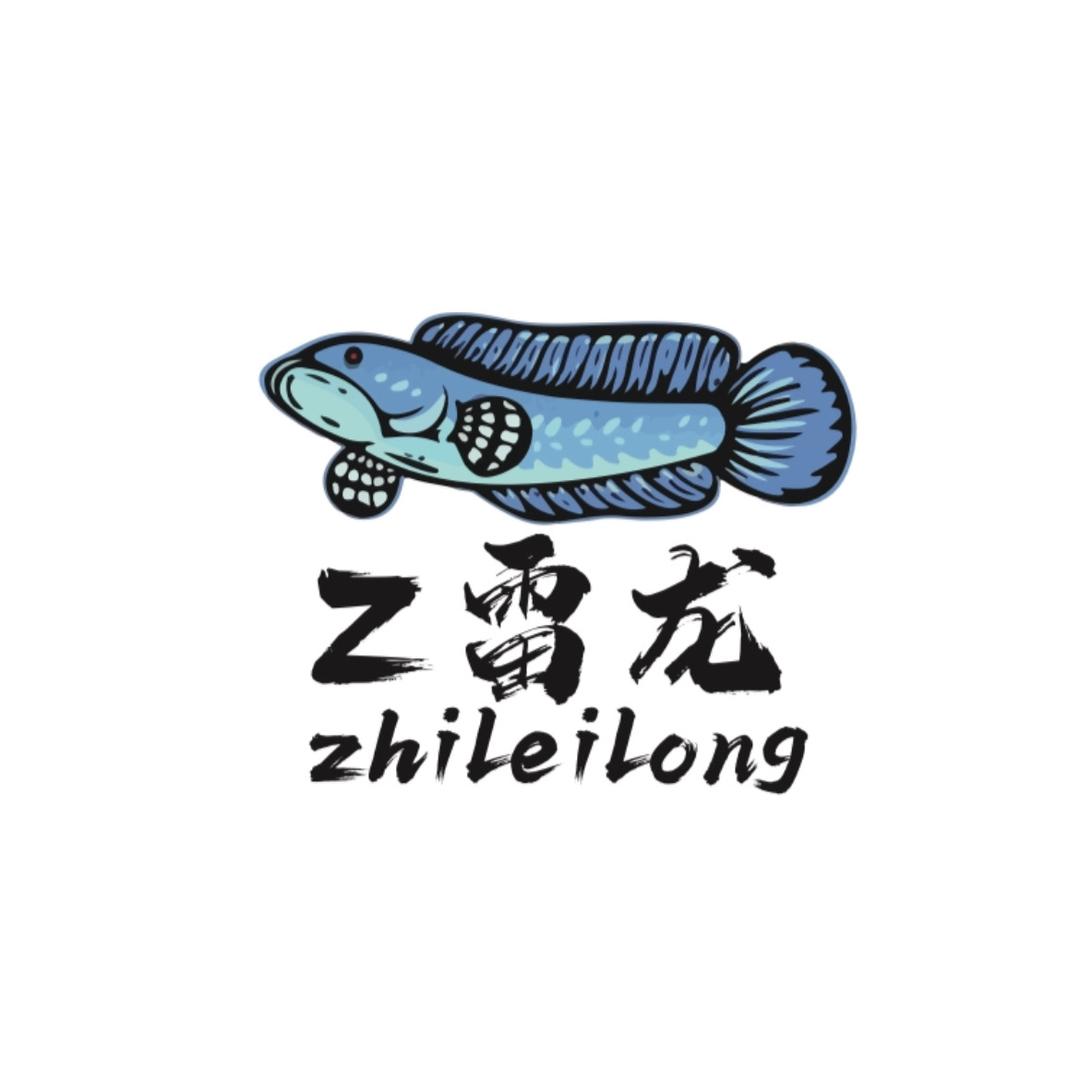 知鱼知乐雷龙鱼小铺