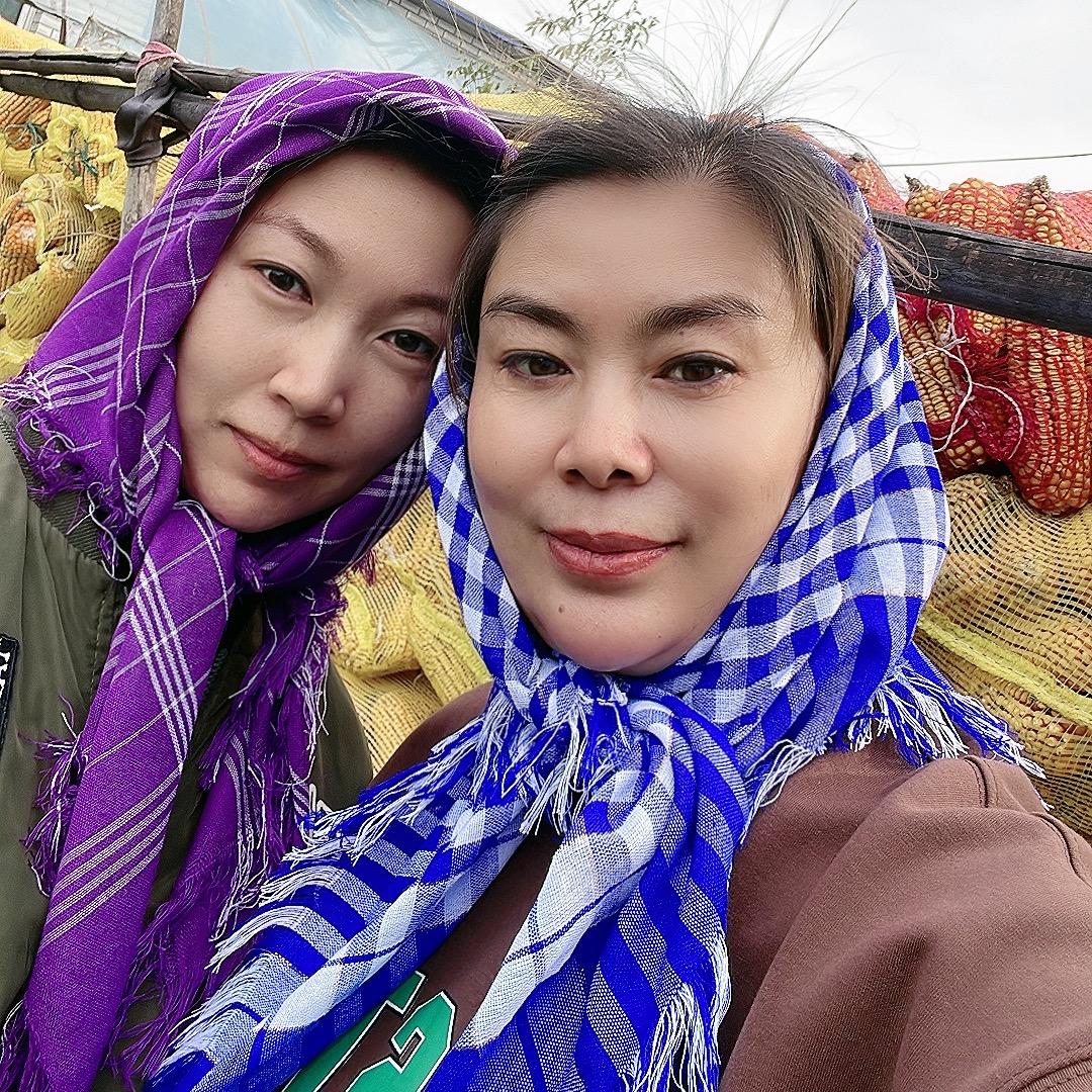 东北的杨大妞