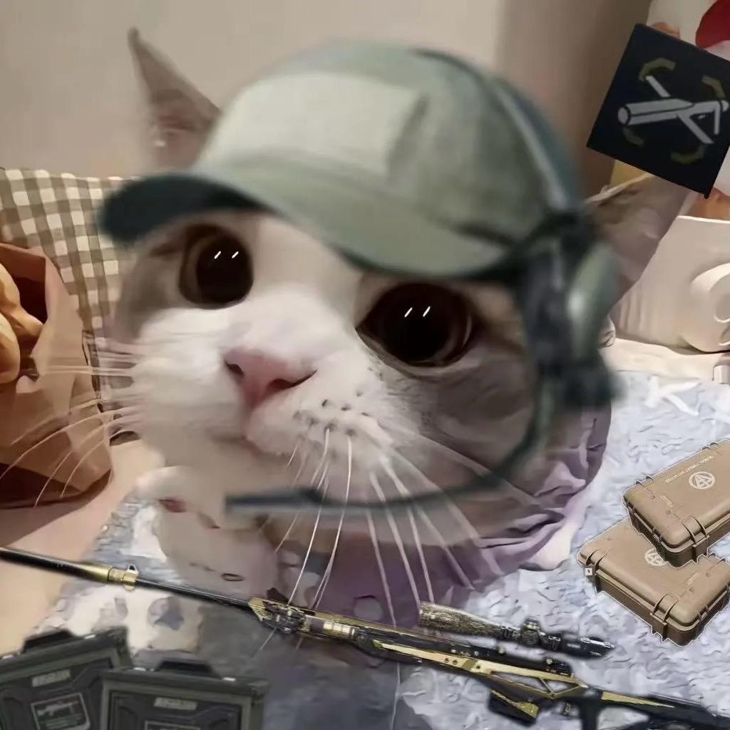 坤坤鼠大王（三角洲行动）