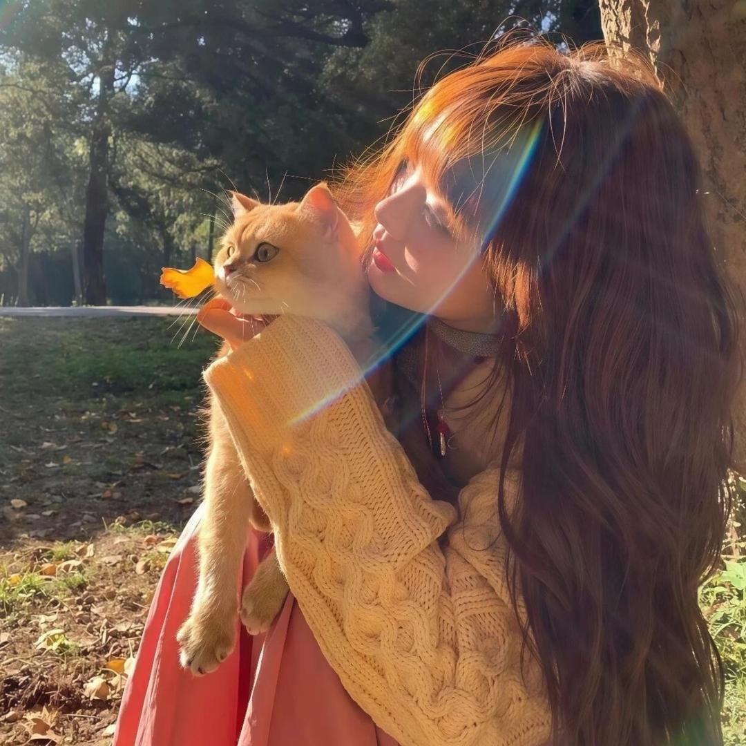 爱自由🐱